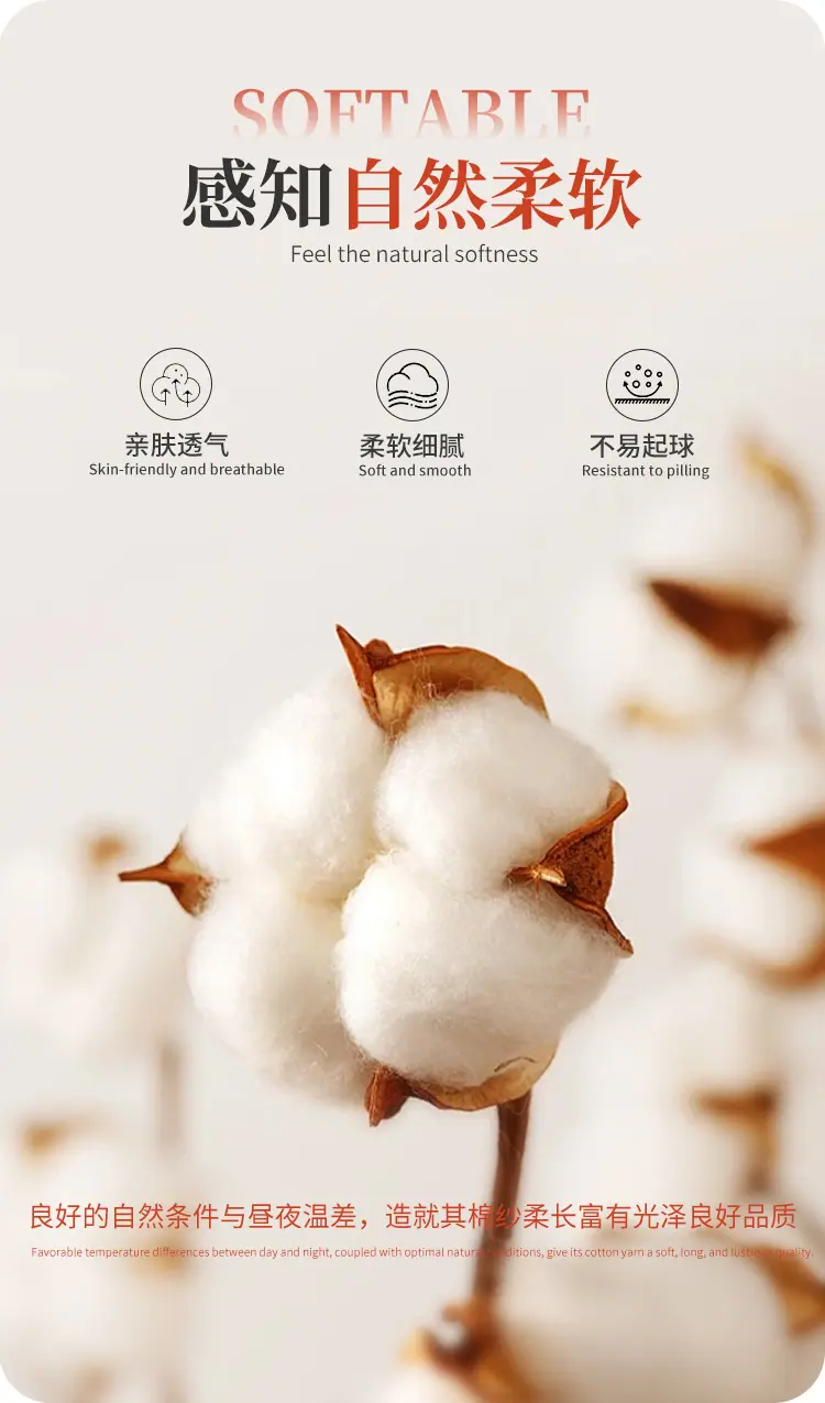 详情_10