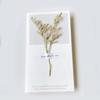 Tarjetas de Felicitación Secas Frescas y Creativas, Tarjetas de Cumpleaños, Tarjetas del Día de la Madre, Tarjetas Universales del Día de la Mujer, Tarjetas de Bendición