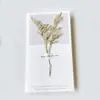Cartão de Cumprimentos com Flores Secas Fresco e Criativo Cartão de Aniversário Cartão de Dia das Mães Cartão de Dia da Mulher Cartão de Cumprimentos Geral Cartão de Bênçãos