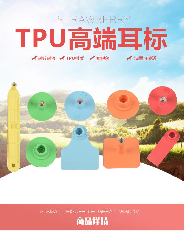 详情1_01.jpg