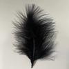 Venta al por mayor del fabricante de Plumas de Pavo, Plumas de Cola de Terciopelo de Longitud Completa, Plumas de Colores, Material de Relleno de Bolas Bobo
