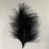 Venda Direta de Fábrica de Penas de Peru, Penas Brancas Totalmente Aveludadas para Joias DIY e Decoração de Roupas, 11cm-18cm, Tingíveis