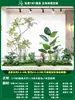 Paisagismo de Planta Artificial Varanda Arranjo de Paisagem Escada Interna Sob Árvore de Flores Artificiais Decoração Biomórfica Planta Verde Paisagismo Combinação