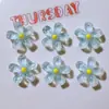 Accesorios de Resina Materiales para Manualidades Hebillas de Zapatos Parches para Sombreros Parches de Pegamento Cremoso Cubiertas de Paja Transparentes Flores con Purpurina Fina Tamaño Pequeño