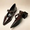 Nuevos Zapatos de Salón Elegantes Franceses de Punta Fina para Mujer de Venta Caliente 2026 Primavera/Otoño Tacón Grueso Antideslizantes con Correa Única Zapatos de Salón