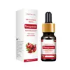 Fragrant Moment Factory Direct 10ml gota solúvel em água lavanda aromaterapia óleo essencial aromaterapia máquina especial