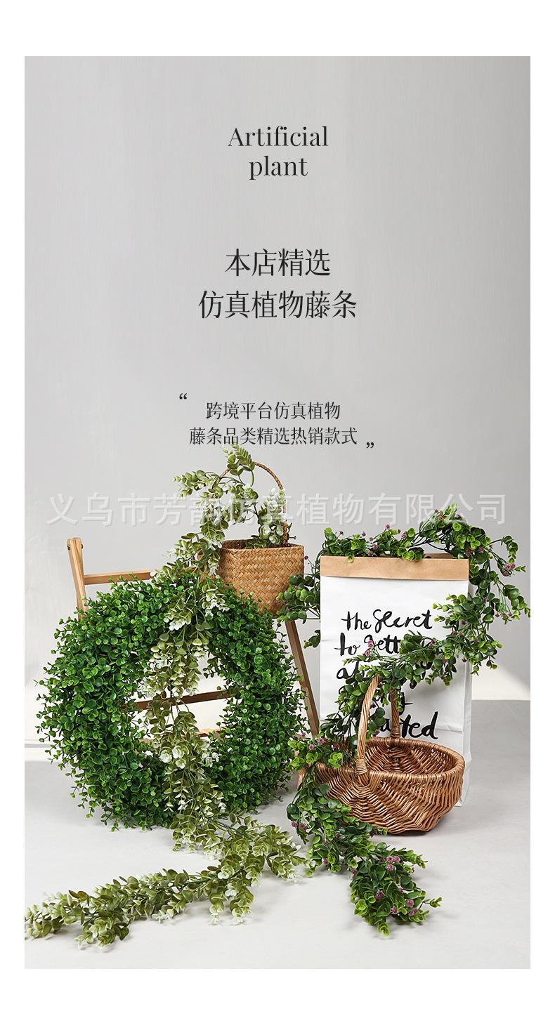 组合详情_01.jpg