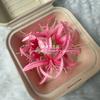 Horquilla de simulación de flor Bianhua para el cabello, estilo chino antiguo, estilo Cheongsam Hanfu, estereoscópica, decoración de fotos