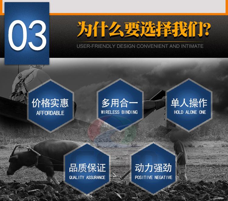 WGj_07.jpg