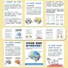 El Cerebro Se Puede Regenerar Después de Daños, Plasticidad, Reparación Cerebral, Mejorar la Memoria, Restauración Cerebral, Conocimiento de la Ciencia Cerebral, Pegatinas