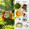 Kit de material para micro-paisagismo com escultura de vagem de glicínia, conjunto completo de materiais de frutas, brinquedo infantil, atividade para salão, loja de artesanato DIY