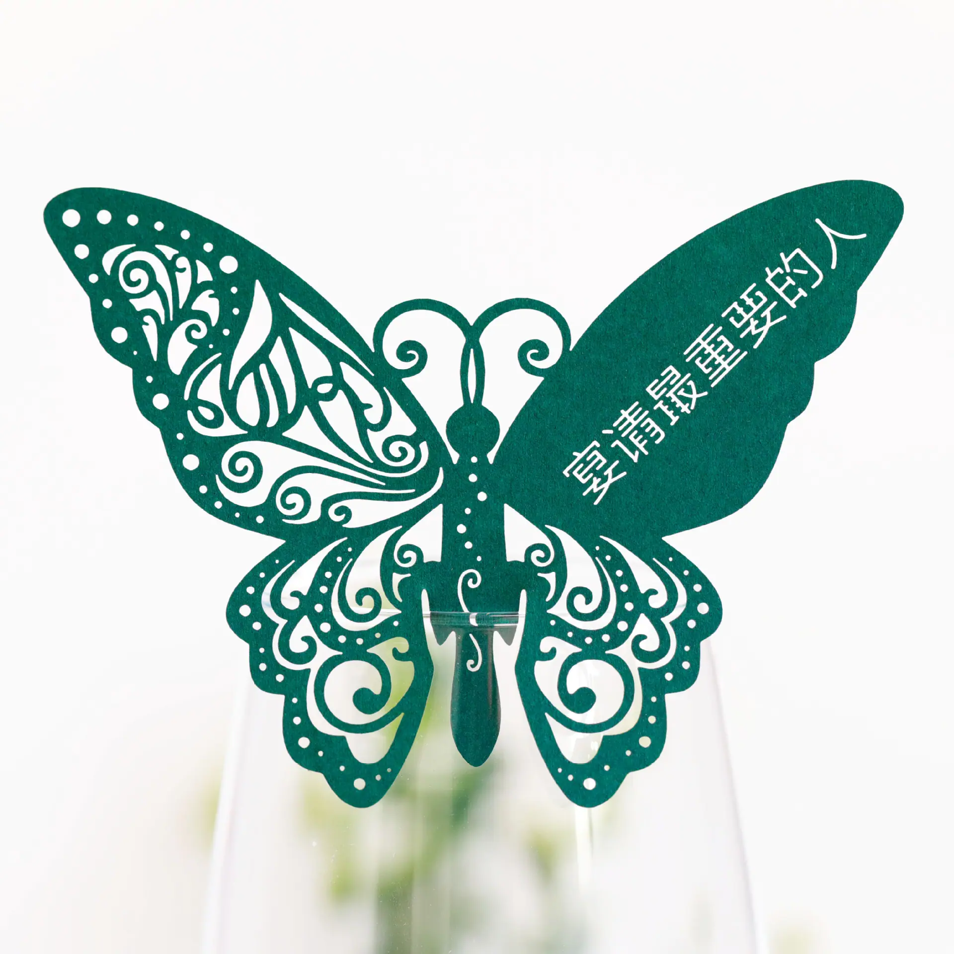 9R3A2905 墨绿卡