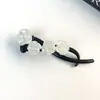 Grampo de Cabelo Acetato em Forma de U Venda Quente Transfronteiriça Acessório de Cabelo Grampo para Coque Estilo Europeu e Americano Processamento de Grampo de Cabelo