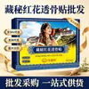 Segredo Tibetano Flor Vermelha Adesivo Penetrante nos Ossos Ombro Pescoço Cintura Pernas Articulações das Costas Desconforto Pasta Corpo Inteiro Universal Moxabustão Dropshipping Flor Vermelha Penetrante nos Ossos