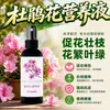 Solución Nutricional Específica para Azaleas Manchas en las Hojas Hojas Amarillas Manchas Negras Caída de Hojas Pudrición de Raíces Cuidado Fertilizante para Flores Fertilizante Foliar Fertilizante Especial