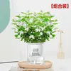 Flores Que Florescem por Muito Tempo e São Fáceis de Cultivar, Lírios, Sino dos Ventos, Flores de Corte Frescas, Plantas Hidropônicas de Cabelo Reto de Yunnan, Rosas, Arranjos de Flores de Interior