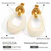 Aretes de acero de titanio transfronterizos Yuhui, con un diseño geométrico hueco de resina de color ámbar estilo Melard, aretes de acero inoxidable