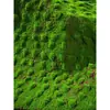Grama Artificial com Flocagem Pedra Gramado Musgo Pedra Bonsai Planta Musgo