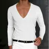 Serie de Ropa de Verano para Hombre Europea y Americana Transfronteriza 2024 AliExpress Amazon Estación Independiente Nueva Camiseta Lisa de Cuello en V