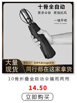 10骨自动伞-1