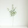 Folhas de Planta Simulação Design Floral Teto de Chumbo Decoração de Estrada de Auditório Flores Artificiais Galhos Longos 11 Folhas de Clematis Simulação