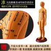 Modelo de Corpo Humano com Pontos de Acupuntura para Praticar Inserção de Agulha, Diagrama Completo do Corpo com os Doze Meridianos da Medicina Chinesa, Modelo de Cobre em Forma Humana