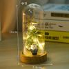Lámpara de regalo de Navidad pantalla de vidrio árbol de Navidad luminoso regalo Papá Noel LED artesanías de vidrio luminosas