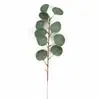 Rama Única de Hojas de Eucalipto con Frutos, Decoración para Arreglo Floral DIY, Hojas de Dinero Artificiales, Hojas de Eucalipto Decorativas con Frutos para Venta Transfronteriza