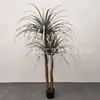 Simulação Beladona Árvore Floresta Tropical Planta Falsa Jardim Externo Paisagismo Decoração Árvore Dracena Árvore do Milênio Planta Verde