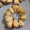 Juguete para pájaros al por mayor piña de montaña perforada fruta seca accesorios naturales para morder