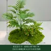 Plantas Verdes Pequenas para Paisagismo e Decoração, Plantas Artificiais para Decoração Suave de Sala de Estar Interna, Paisagem Pequena, Vitrine, Aglomerado de Grama Musgo, Micro Paisagem