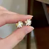 Brincos de Pérola Estrela de Nicho para Mulheres, Luxo Leve Exquisitos Brincos de Zircônia Estrela de Cinco Pontas Bicolor, Brincos Gentis e Versáteis para o Dia a Dia