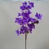 Bugambilia ramo falso de flores terminadas flores de seda flores decorativas flores de boda ventas directas de fábrica flores de simulación