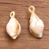 Variedad de Estrellas de Mar Artificiales Acrílicas, Conchas Marinas, Serie Marina para Pulseras, Colgantes, Aretes, Accesorios de Joyería DIY