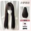 Perucas ZelanShao Luo Menina SuaveCor Chá PretoLolita Rabos de Cavalo Duplos Cabelo Longo Liso Peruca Completa Natural