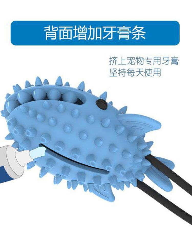 鲨鱼_11.jpg