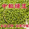Frijoles mungo frescos de granja, productos de temporada nuevos, frijoles mungo en bolsas pequeñas, papilla de frijol mungo, pastel de frijol mungo, ingredientes para batido de frijol mungo
