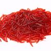 Polvo de Lombriz Roja Black Pit para Pesca Salvaje Cebo para Peces de Todas las Estaciones Lombrices Rojas Vivas Suministros de Pesca para Atraer Peces