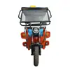 Triciclo Eléctrico Turístico Personalizado Simple de Tres Ruedas con Techo, Vehículo Eléctrico de Tres Ruedas
