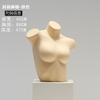 Exhibidor de Ropa Interior Modelo para Hombre y Mujer Medio Cuerpo Push-up Bras Ropa Interior Modelo Estante Modelo de Cuerpo Humano Falso Accesorio Modelo de Pecho