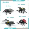 Simulación Transfronteriza Modelo de Araña Real Unicornio Insecto Juguetes para Niños Mariposa Abeja Adornos de Animales