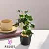Plantas Verdes Simuladas, Vasos de Plantas Pequenos, Decorações de Flores Artificiais, Sala de Estar Estudo, Decorações de Plantas Verdes Falsas, Decorações de Mesa de Escritório Atacado