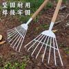 Ancinho Doméstico, Ancinho de Ferro Galvanizado, Ancinho de Aço, Ferramenta de Jardim, Ferramenta para Varrer Folhas de Horta Externa, Pente de Ancinho de Ferro