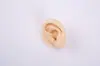 Venta al por mayor de fábrica modelo de oreja de silicona simulación oreja suave accesorios de entrenamiento para enseñanza oreja falsa pendientes para auriculares accesorios de exhibición