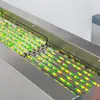 Máquina Envasadora Contadora Electrónica de Cápsulas y Tabletas Cápsulas Blandas Tabletas de Caramelo Contador de Tabletas Totalmente Automático