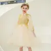 Vestido de Niña, Vestido de Princesa, Vestido de Fiesta de Cumpleaños para Niños de Malla, Vestido Brillante de Navidad para Actuación de Niñas