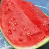 Huichuang Jialianhua 911 Sementes de Melancia Crocante Precoce de Casca Dura Kirin Meidu Sementes de Melancia Fruta de Campo