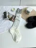 Meias Empilhadas Cor Café Melanoidéia para Mulheres Meias de Renda Vazada para Panturrilha Meias Longas com Blocos de Cor Etiqueta de Tecido Retro Japonês Primavera Outono