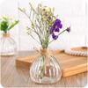Vaso Criativo de Abóbora Moderno Simples Transparente Estilo Europeu Pequeno Fresco Decoração de Mesa Estilo Pastoral