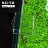 Acessórios para tampa de aquário fivela de tampa de aquário rede transparente anti-salto placa plástica de isolamento suporte para tampa de tartaruga acessórios